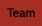 .Team